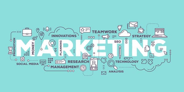 Guide to the Bachelor’s Degree in Marketing
