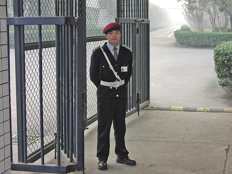 List of Best Security Services Companies in Tanzania