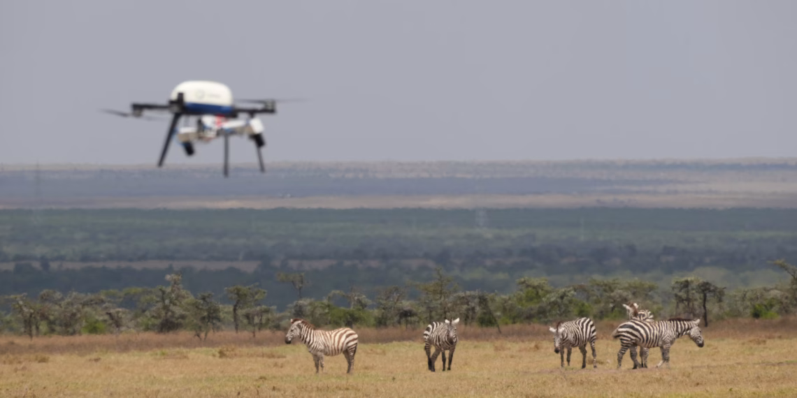 Kenya Conservation Tech