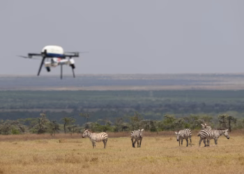 Kenya Conservation Tech
