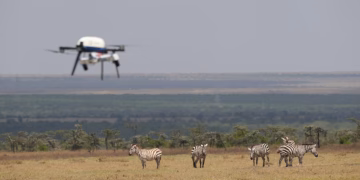 Kenya Conservation Tech