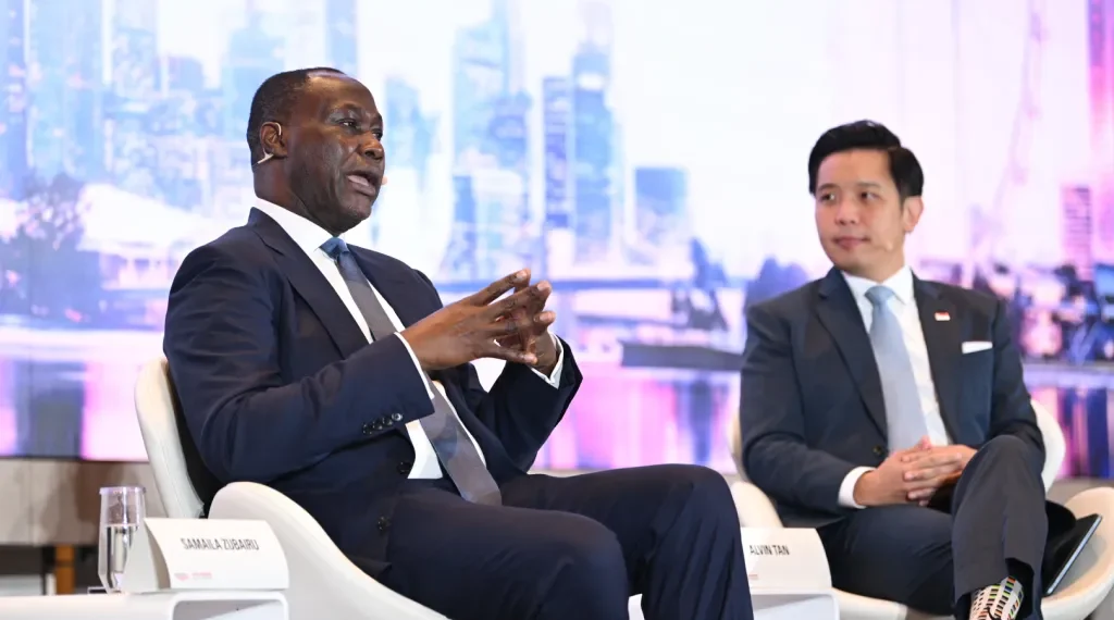 Africa Singapore economic synergy