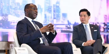 Africa Singapore economic synergy