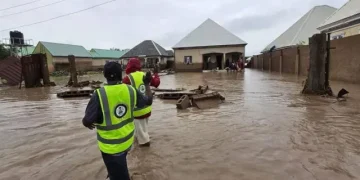 Nigeria Floods Kill 25 in Adamawa State