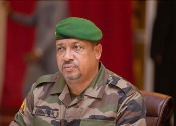 Mali coup plot