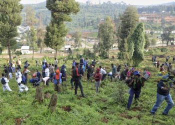 Ethiopia Plants 700 Million Trees in One Day