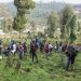 Ethiopia Plants 700 Million Trees in One Day