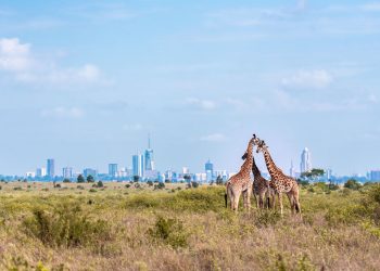 Top Ten Economies in East Africa by GDP