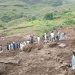 Darfur Landslide Kills 1,000 in Sudan