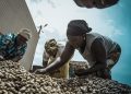 African Development Fund