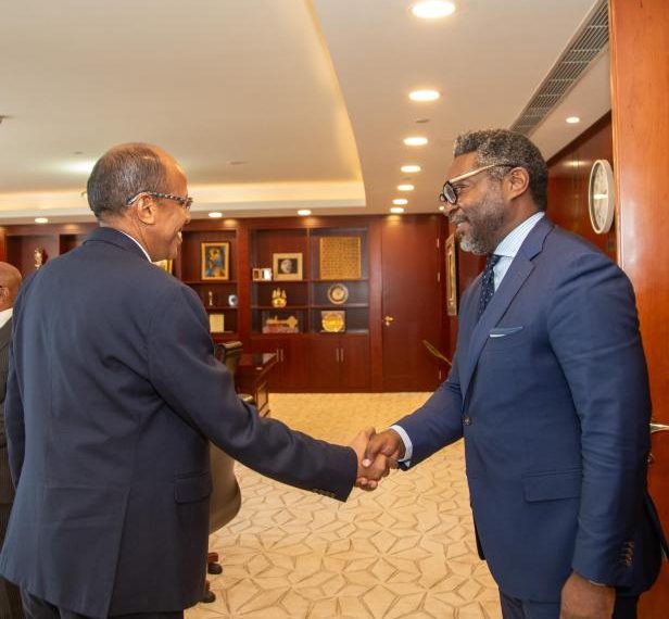AU Chairperson meets Morocco Ambassador