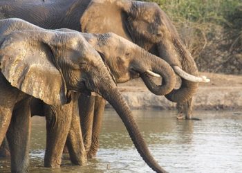 Best Places to Visit in Africa 2026: A Guide to the Continent’s Hidden Gems and Iconic Destinations