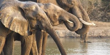 Best Places to Visit in Africa 2026: A Guide to the Continent’s Hidden Gems and Iconic Destinations
