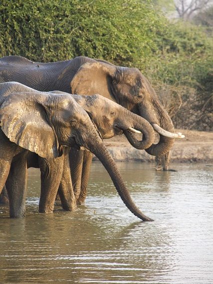 Best Places to Visit in Africa 2026: A Guide to the Continent’s Hidden Gems and Iconic Destinations