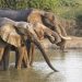 Best Places to Visit in Africa 2026: A Guide to the Continent’s Hidden Gems and Iconic Destinations