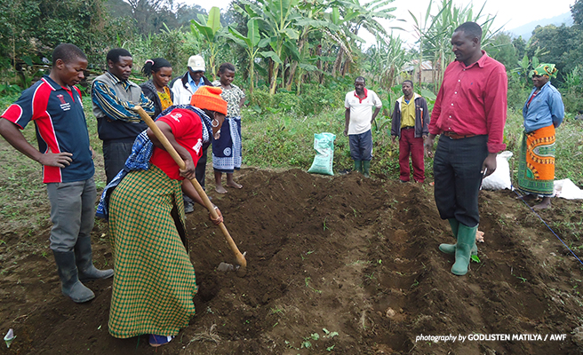 Adopting Regenerative Agriculture in Africa: Benefits and Challenges