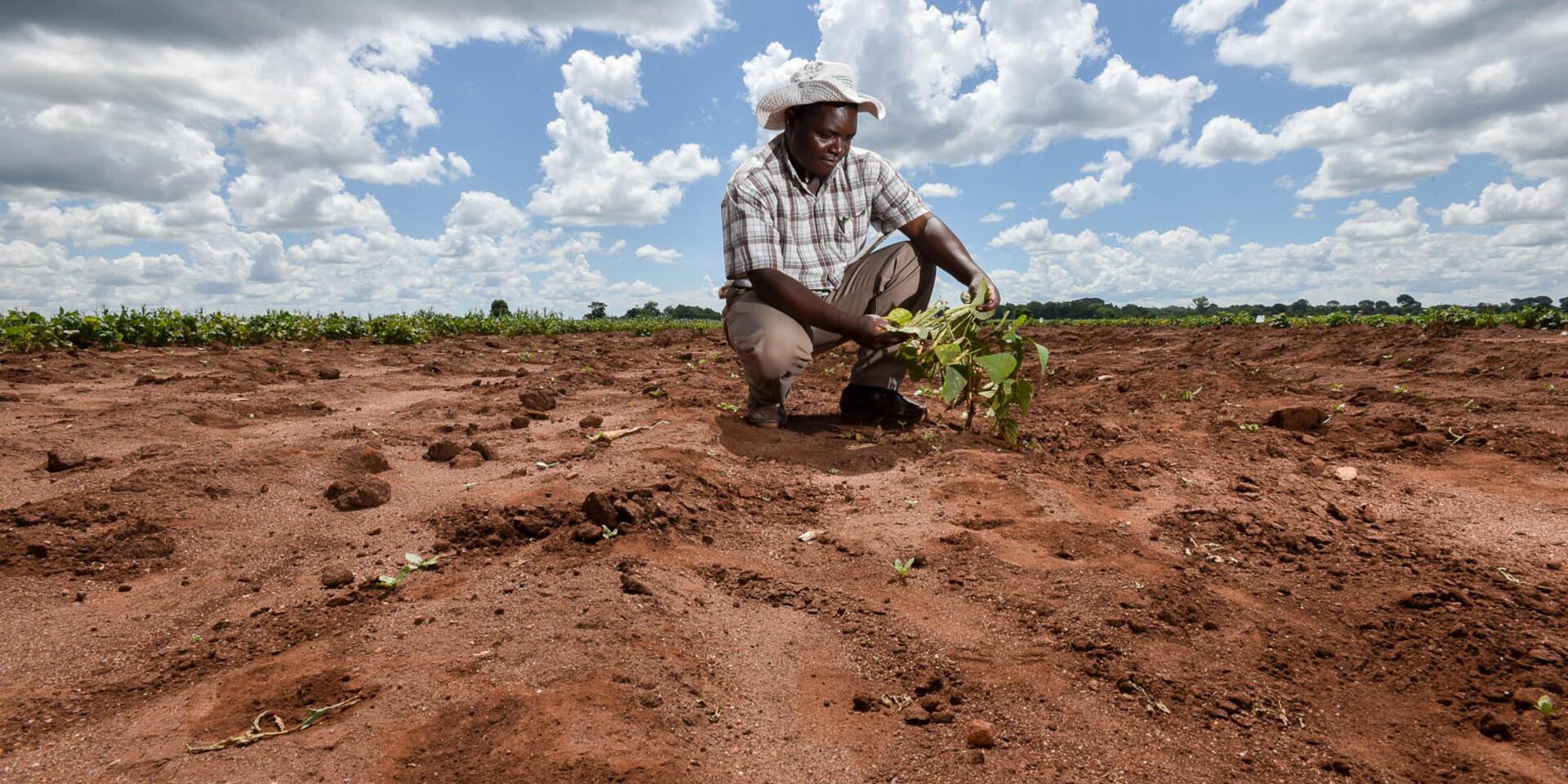 Sustainable Farming Practices for Soil Health in Africa
