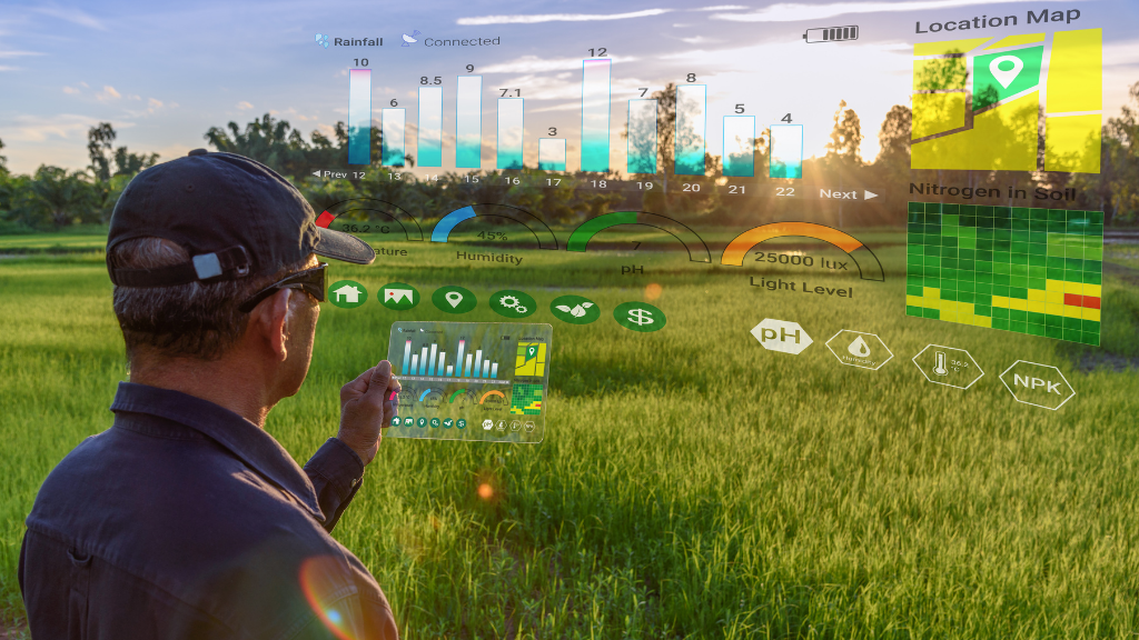 Precision Agriculture in Africa: Opportunities and Challenges for the Future