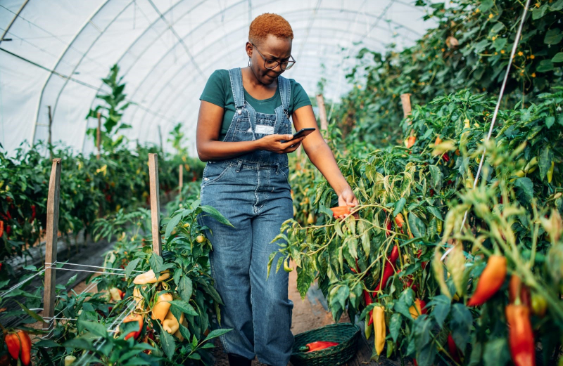 Digital Agriculture: Transforming Farming in Africa for a Sustainable Future