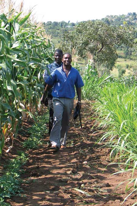 Integrated Pest Management in African Agriculture: A Sustainable Approach